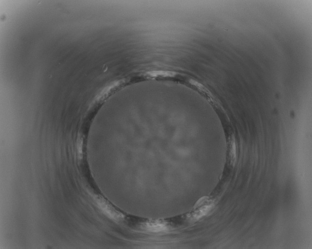 X0000081490668200701121511