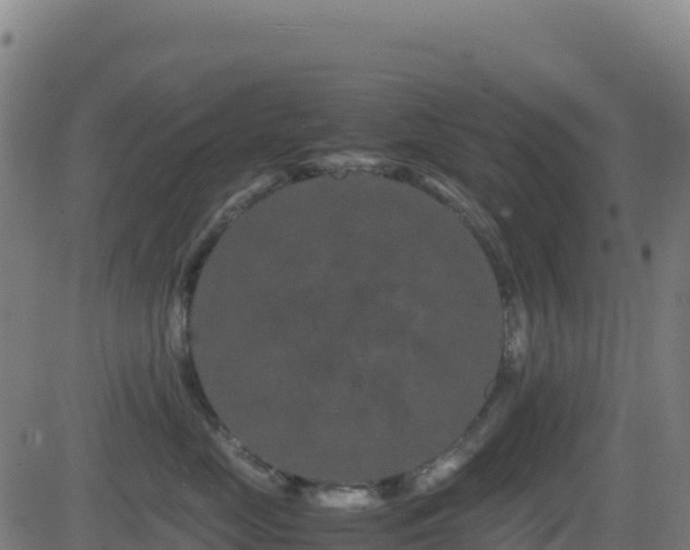 X0000081490669200701121511