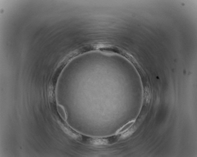 X0000081490670200701121511