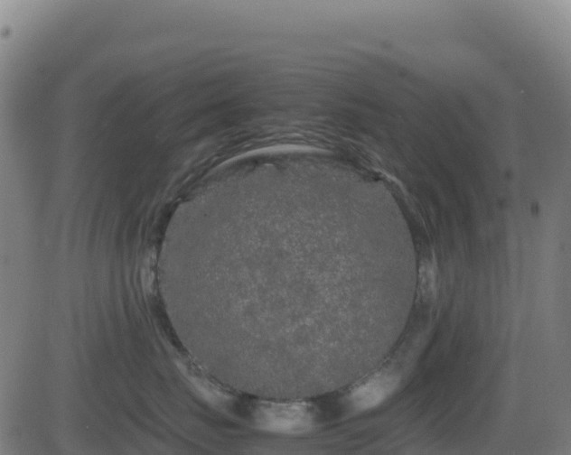 X0000081490671200701121511