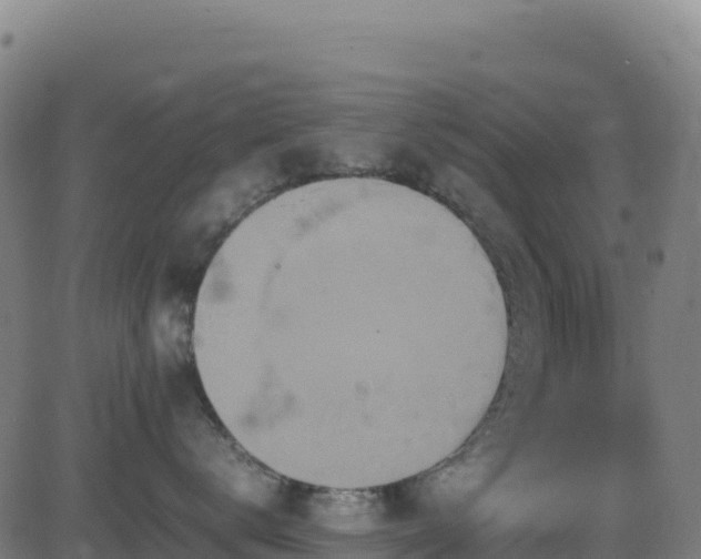 X0000081490672200701121511