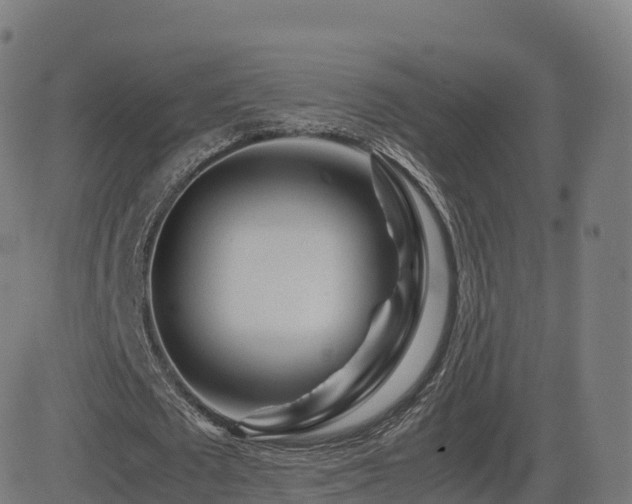 X0000081490673200701121511