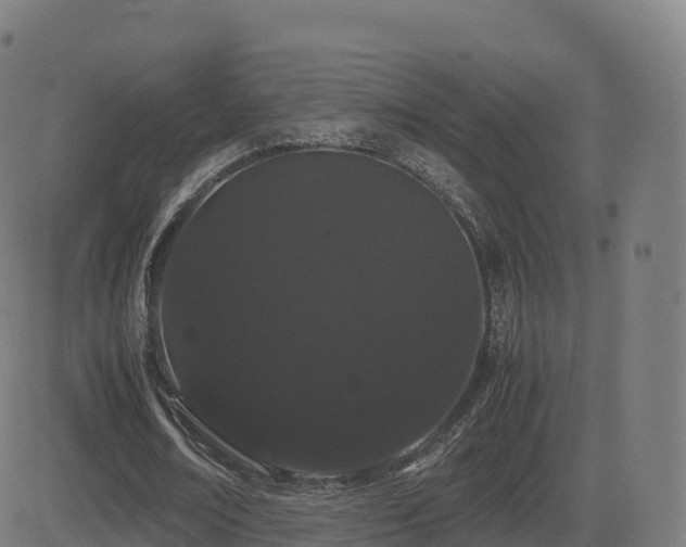 X0000081490674200701121511