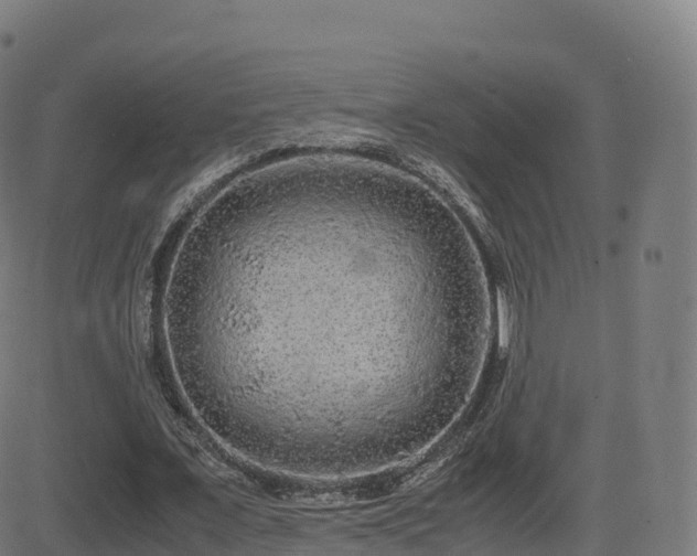 X0000081490675200701121511