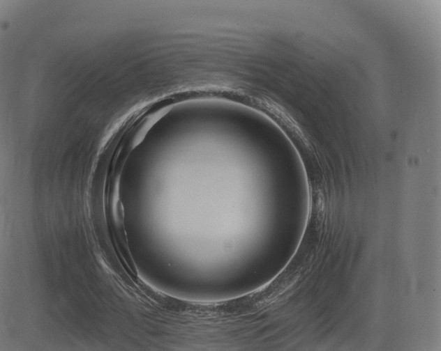 X0000081490676200701121511