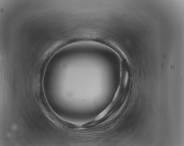 X0000081490677200701121511