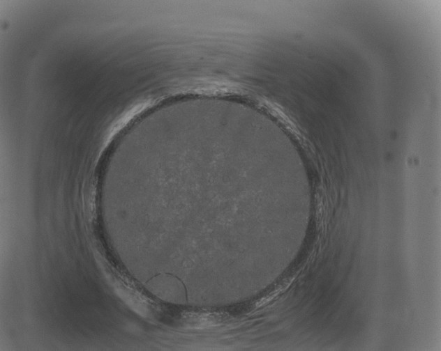 X0000081490679200701121511