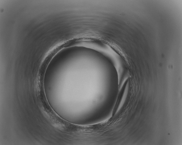 X0000081490680200701121510