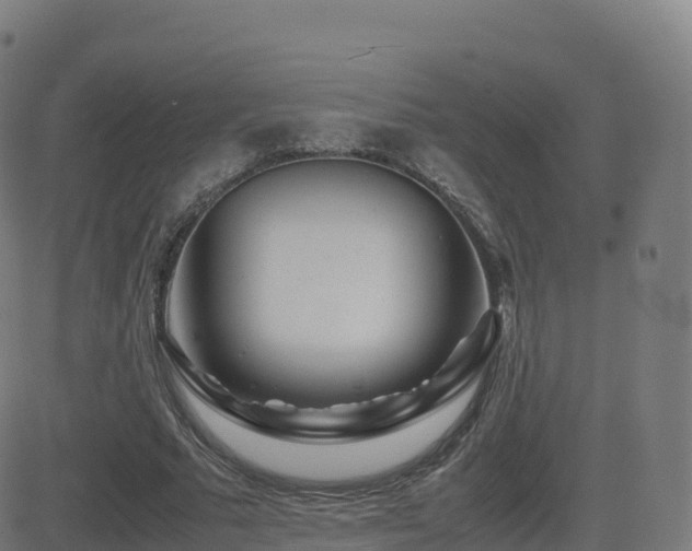 X0000081490681200701121510