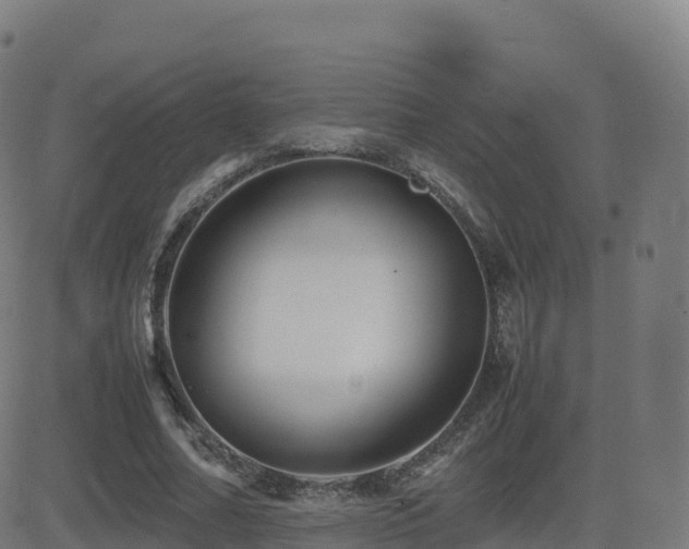 X0000081490682200701121510