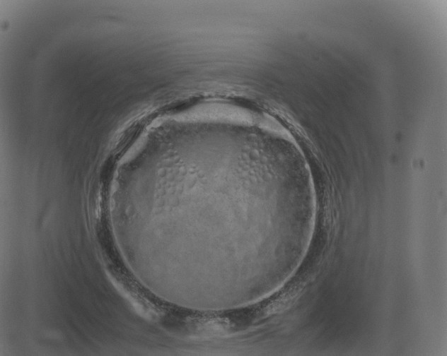 X0000081490683200701121510