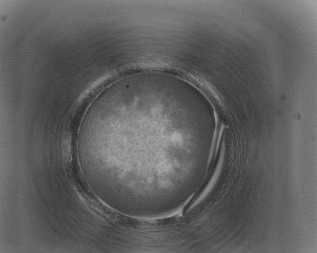 X0000081490684200701121510