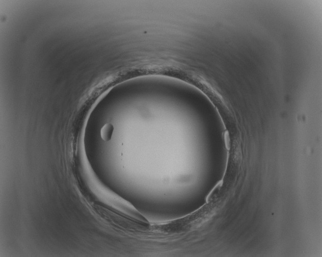 X0000081490685200701121510