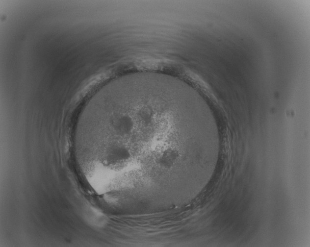 X0000081490687200701121510