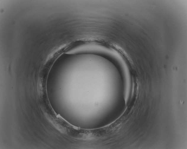 X0000081490688200701121510