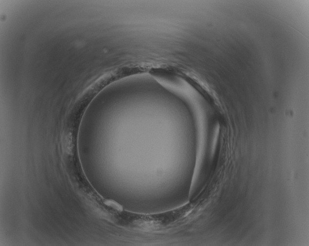 X0000081490689200701121510