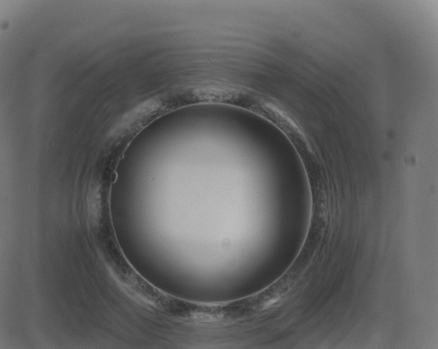 X0000081490690200701121510