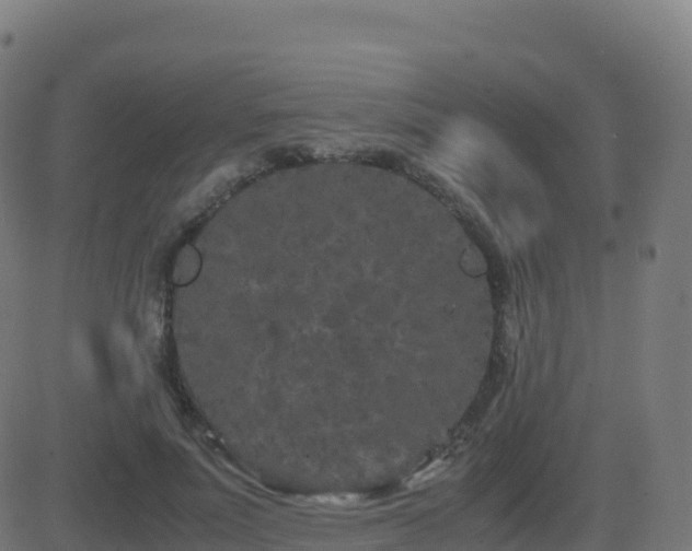 X0000081490691200701121510