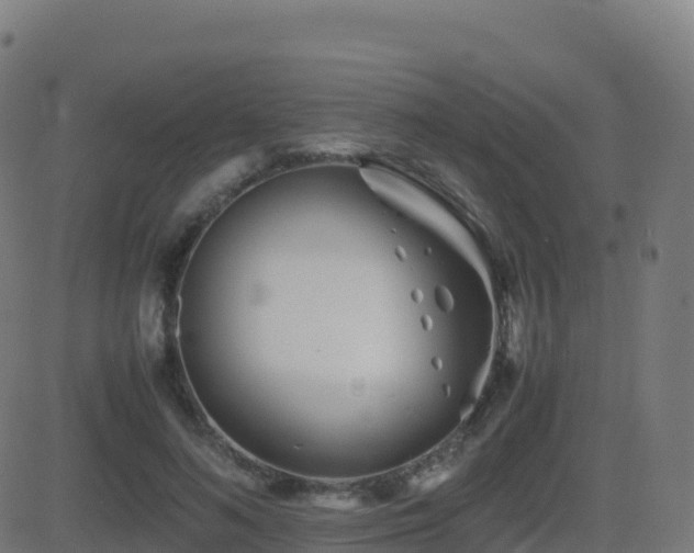 X0000081490692200701121510