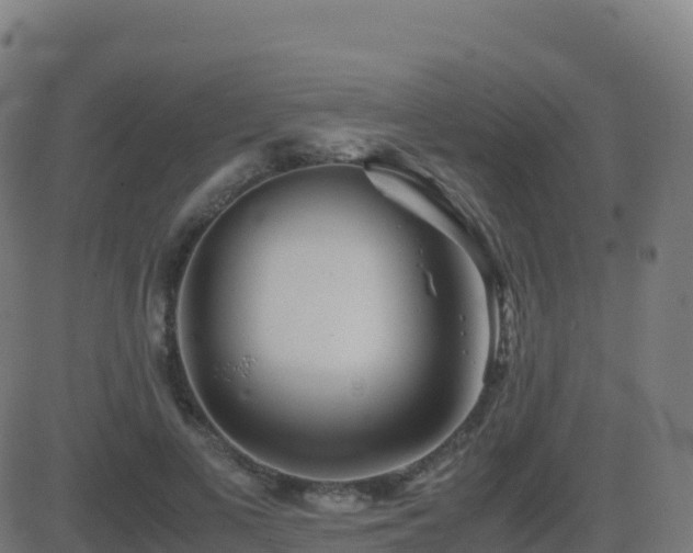 X0000081490693200701121510