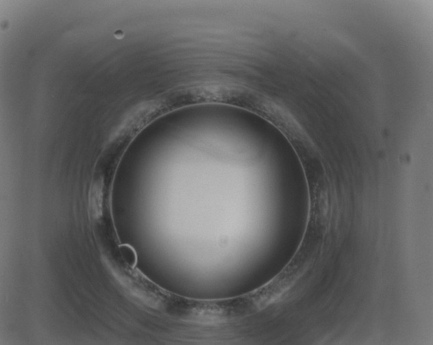 X0000081490694200701121510