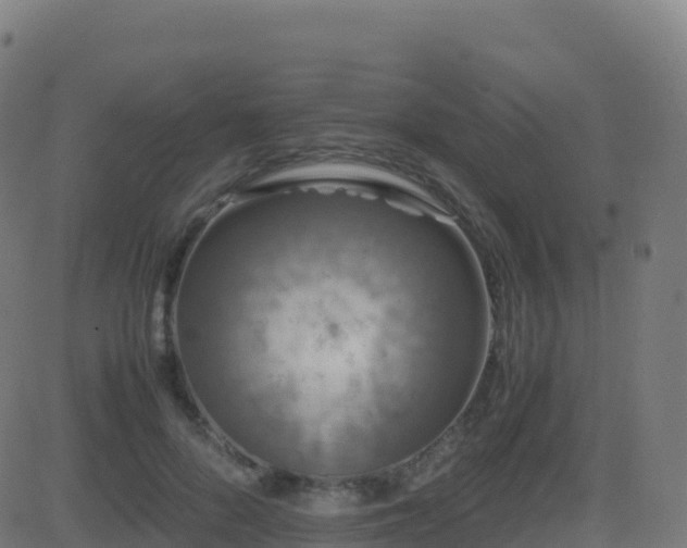 X0000081490696200701121510