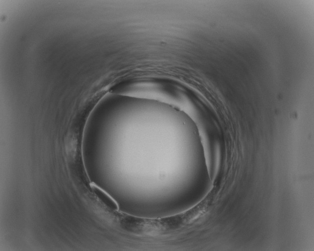 X0000081490697200701121510