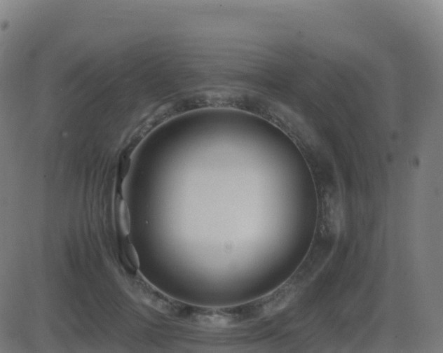 X0000081490698200701121510