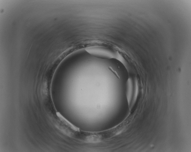 X0000081490700200701121510