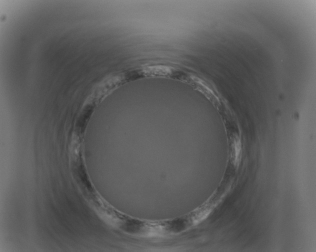 X0000081490701200701121510