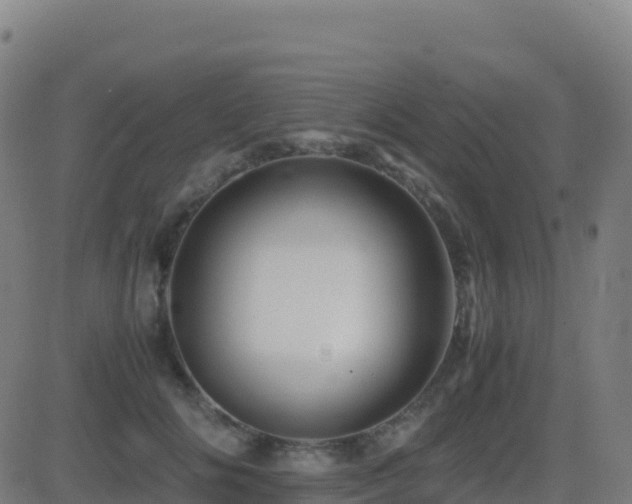 X0000081490702200701121510