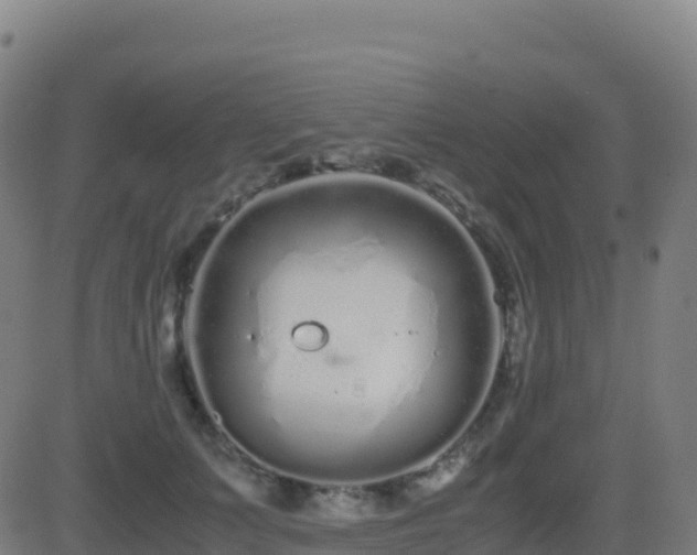 X0000081490703200701121510