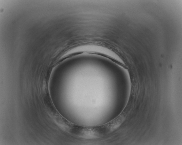 X0000081490704200701121510