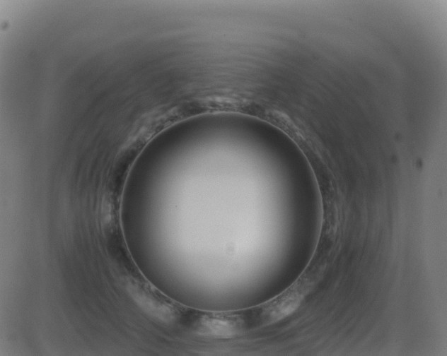 X0000081490706200701121510