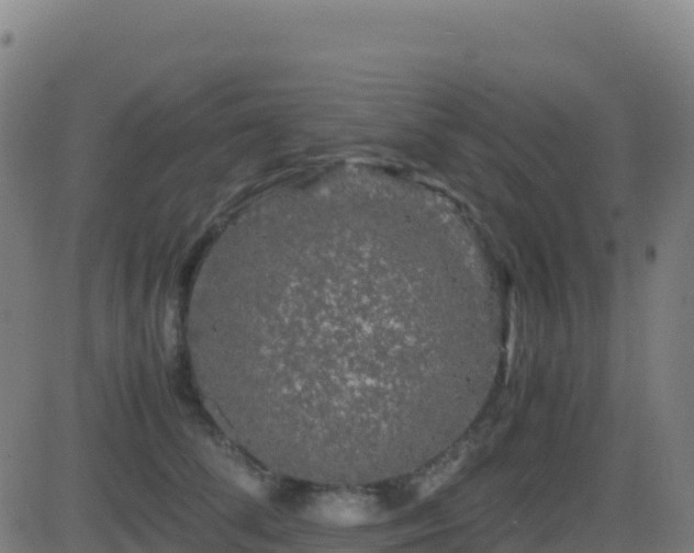 X0000081490708200701121510