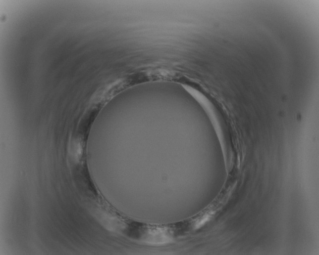 X0000081490709200701121510