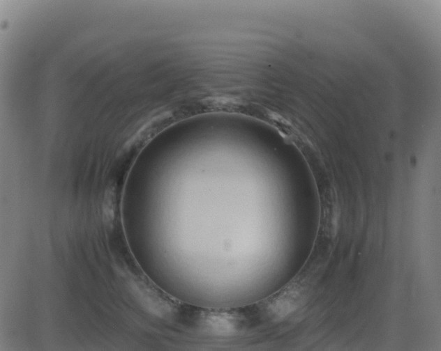 X0000081490710200701121510