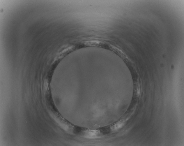 X0000081490711200701121510