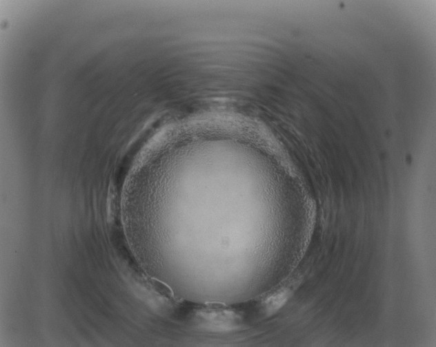 X0000081490712200701121510