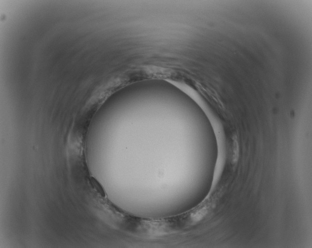 X0000081490713200701121510