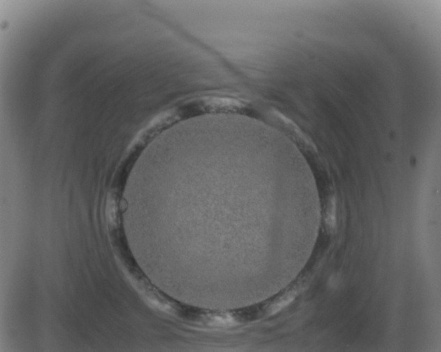 X0000081490715200701121510