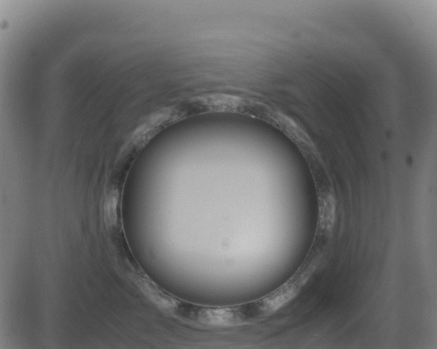 X0000081490717200701121510