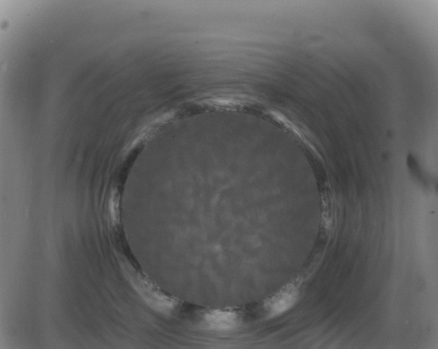 X0000081490718200701121510