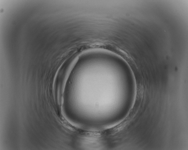 X0000081490719200701121510