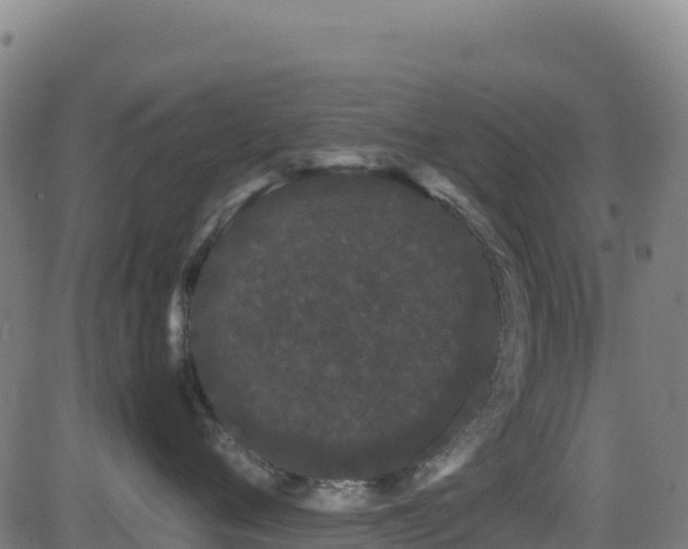 X0000081490720200701121510