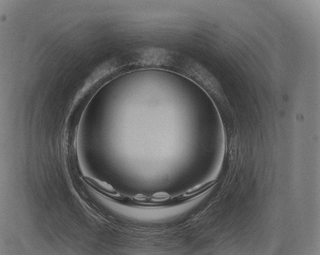 X0000081490722200701121509