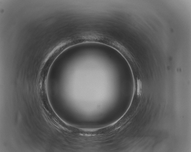 X0000081490723200701121509