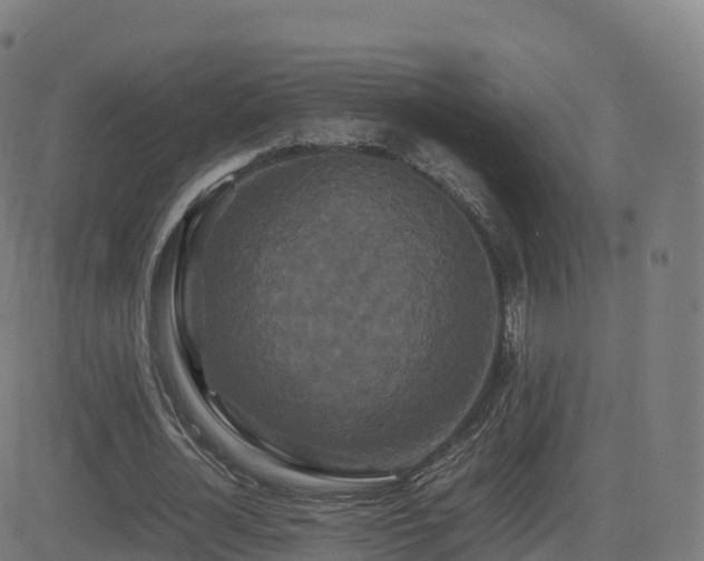 X0000081490724200701121509