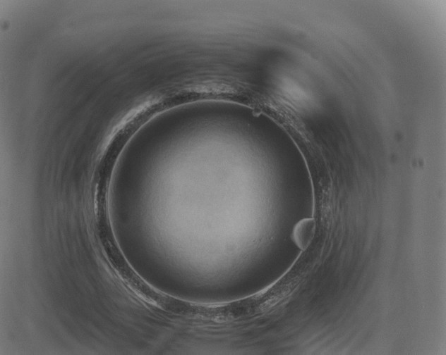 X0000081490727200701121509