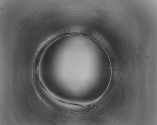 X0000081490728200701121509